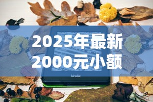 2025年最新2000元小额借钱攻略:手把手教你避坑+低息平台对比 2025年最新2000元小额借钱攻略:手把手教你避坑+低息平台对比