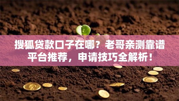 搜狐贷款口子在哪？老哥亲测靠谱平台推荐，申请技巧全解析！