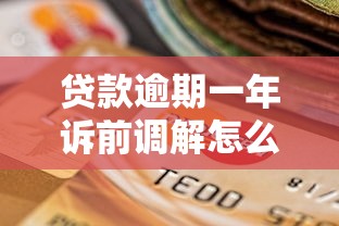 贷款逾期一年诉前调解怎么处理？这些办法帮你化解危机