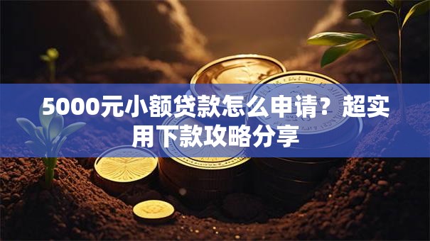 5000元小额贷款怎么申请？超实用下款攻略分享
