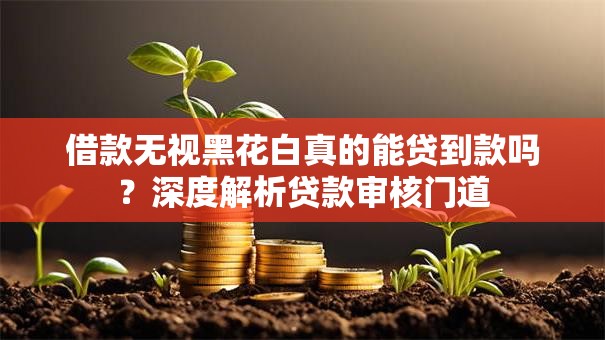 借款无视黑花白真的能贷到款吗？深度解析贷款审核门道
