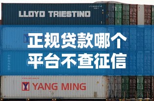 正规贷款哪个平台不查征信？这几类渠道或许能帮到你