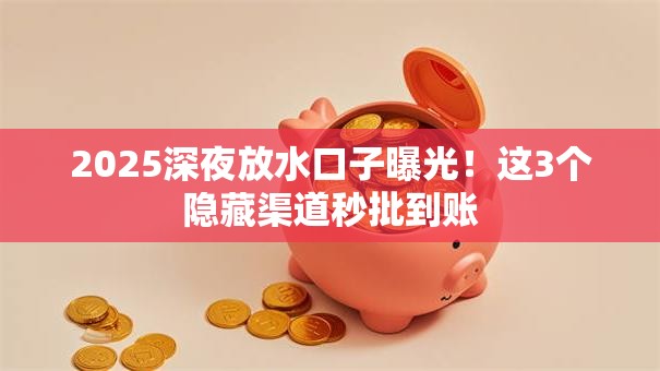 2025深夜放水口子曝光！这3个隐藏渠道秒批到账