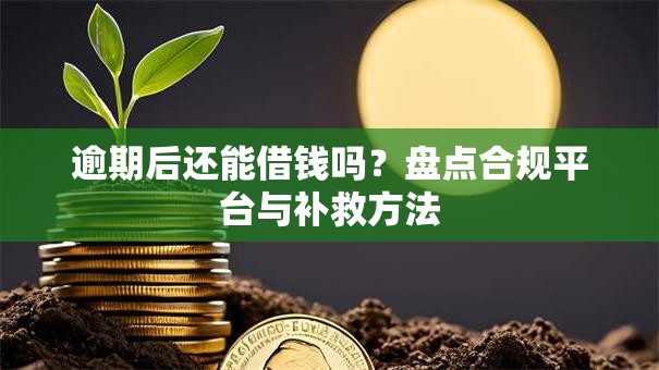 逾期后还能借钱吗？盘点合规平台与补救方法