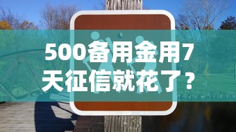 500备用金用7天征信就花了？这些坑千万别踩！