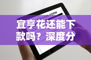 宜亨花还能下款吗？深度分析平台最新申请攻略