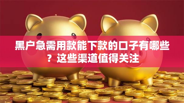 黑户急需用款能下款的口子有哪些？这些渠道值得关注