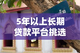 5年以上长期贷款平台挑选攻略：避坑技巧+省钱指南