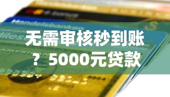 无需审核秒到账？5000元贷款如何快速申请