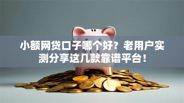 小额网贷口子哪个好？老用户实测分享这几款靠谱平台！