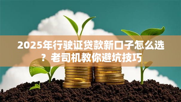2025年行驶证贷款新口子怎么选？老司机教你避坑技巧
