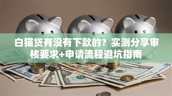 白猫贷有没有下款的？实测分享审核要求+申请流程避坑指南