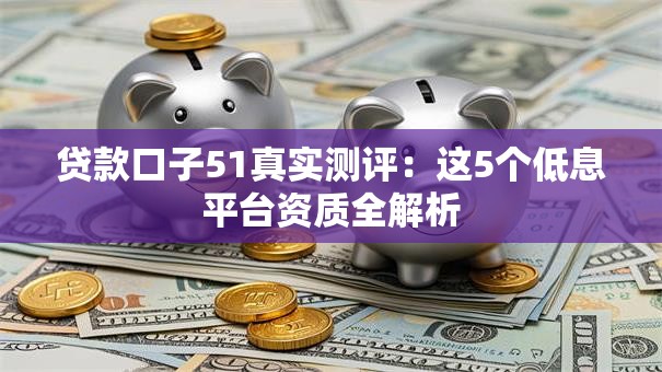 贷款口子51真实测评：这5个低息平台资质全解析