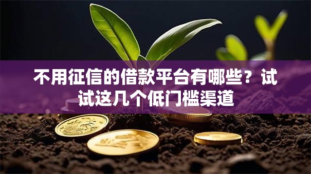 不用征信的借款平台有哪些？试试这几个低门槛渠道