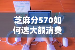 芝麻分570如何选大额消费借款平台 真实经验分享