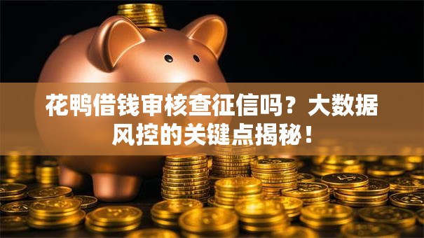 花鸭借钱审核查征信吗？大数据风控的关键点揭秘！