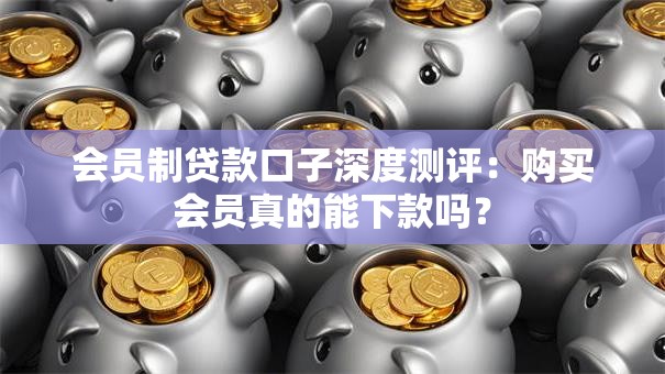 会员制贷款口子深度测评：购买会员真的能下款吗？