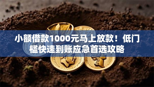 小额借款1000元马上放款！低门槛快速到账应急首选攻略