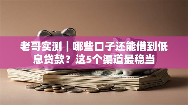 老哥实测|哪些口子还能借到低息贷款?这5个渠道最稳当 老哥实测|哪些口子还能借到低息贷款?这5个渠道最稳当
