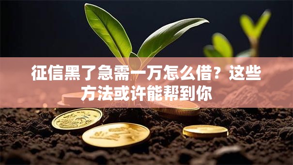 征信黑了急需一万怎么借?这些方法或许能帮到你 征信黑了急需一万怎么借?这些方法或许能帮到你