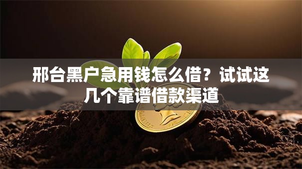 邢台黑户急用钱怎么借？试试这几个靠谱借款渠道