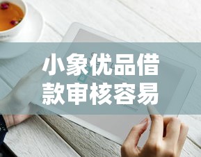 小象优品借款审核容易吗？实测通过率与申请技巧解析