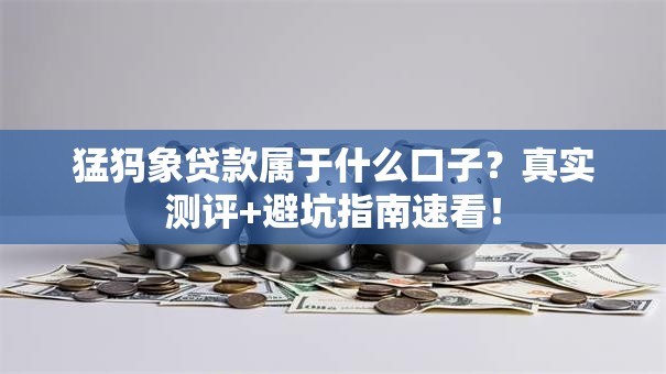猛犸象贷款属于什么口子?真实测评+避坑指南速看! 猛犸象贷款属于什么口子?真实测评+避坑指南速看!