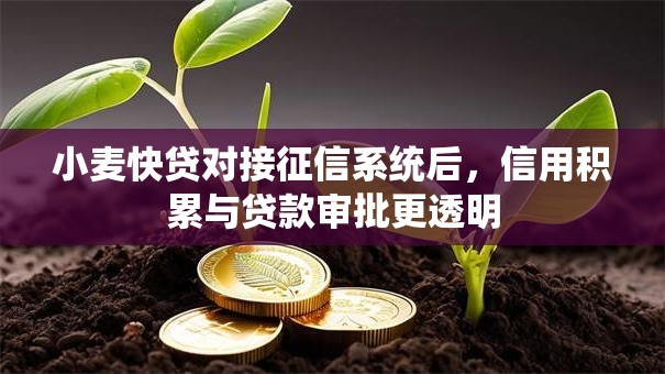 小麦快贷对接征信系统后,信用积累与贷款审批更透明 小麦快贷对接征信系统后,信用积累与贷款审批更透明