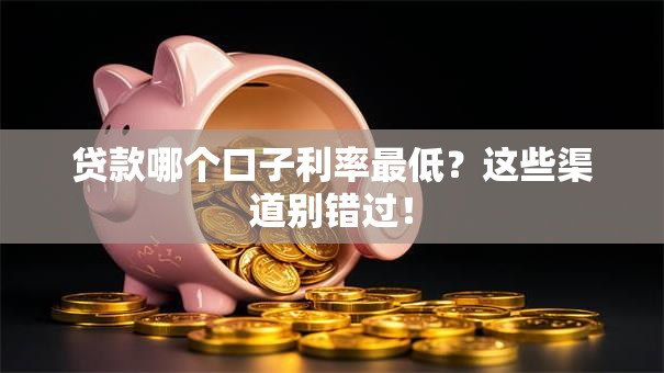 贷款哪个口子利率最低?这些渠道别错过! 贷款哪个口子利率最低?这些渠道别错过!