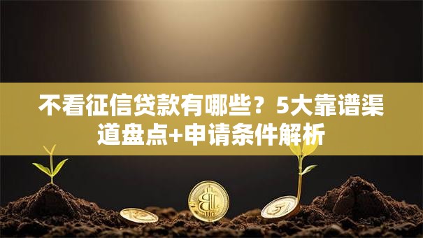 不看征信贷款有哪些?5大靠谱渠道盘点+申请条件解析 不看征信贷款有哪些?5大靠谱渠道盘点+申请条件解析