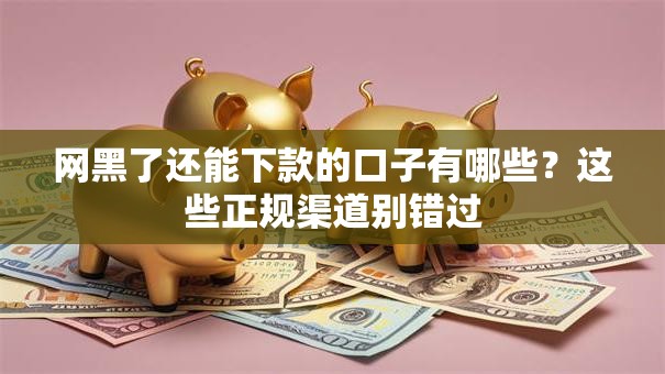 网黑了还能下款的口子有哪些?这些正规渠道别错过 网黑了还能下款的口子有哪些?这些正规渠道别错过
