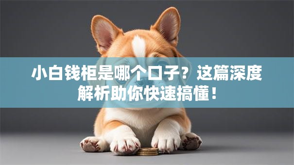小白钱柜是哪个口子？这篇深度解析助你快速搞懂！