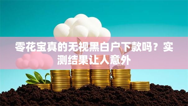 零花宝真的无视黑白户下款吗？实测结果让人意外
