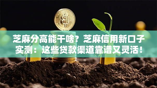 芝麻分高能干啥?芝麻信用新口子实测:这些贷款渠道靠谱又灵活! 芝麻分高能干啥?芝麻信用新口子实测:这些贷款渠道靠谱又灵活!