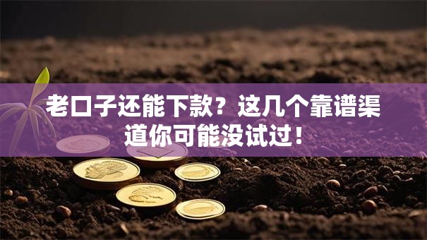 老口子还能下款?这几个靠谱渠道你可能没试过! 老口子还能下款?这几个靠谱渠道你可能没试过!