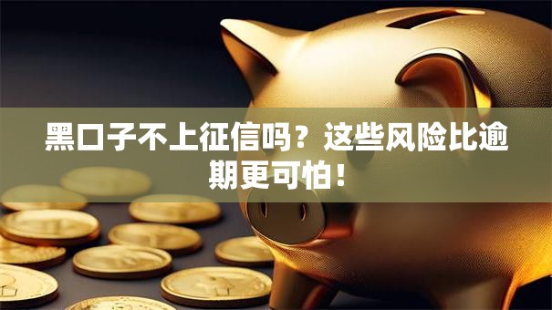 黑口子不上征信吗?这些风险比逾期更可怕! 黑口子不上征信吗?这些风险比逾期更可怕!