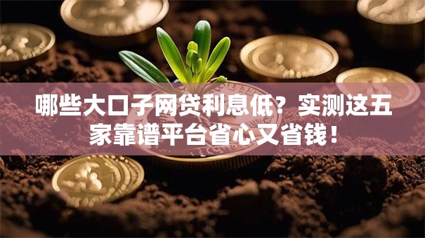 哪些大口子网贷利息低?实测这五家靠谱平台省心又省钱! 哪些大口子网贷利息低?实测这五家靠谱平台省心又省钱!