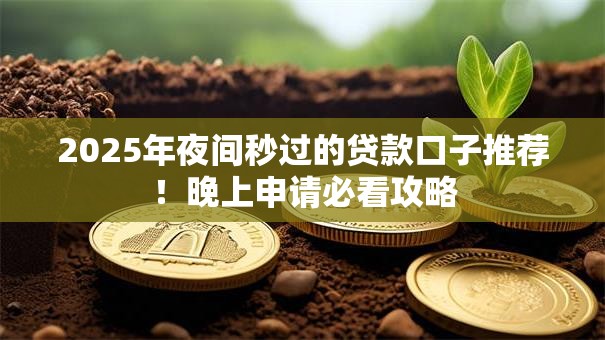 2025年夜间秒过的贷款口子推荐!晚上申请必看攻略 2025年夜间秒过的贷款口子推荐!晚上申请必看攻略