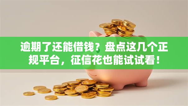 逾期了还能借钱?盘点这几个正规平台,征信花也能试试看! 逾期了还能借钱?盘点这几个正规平台,征信花也能试试看!