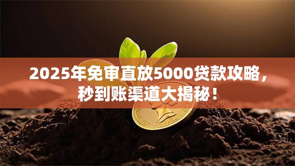 2025年免审直放5000贷款攻略,秒到账渠道大揭秘! 2025年免审直放5000贷款攻略,秒到账渠道大揭秘!