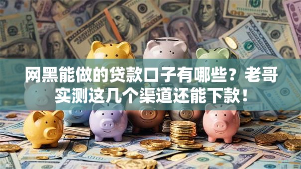 网黑能做的贷款口子有哪些?老哥实测这几个渠道还能下款! 网黑能做的贷款口子有哪些?老哥实测这几个渠道还能下款!