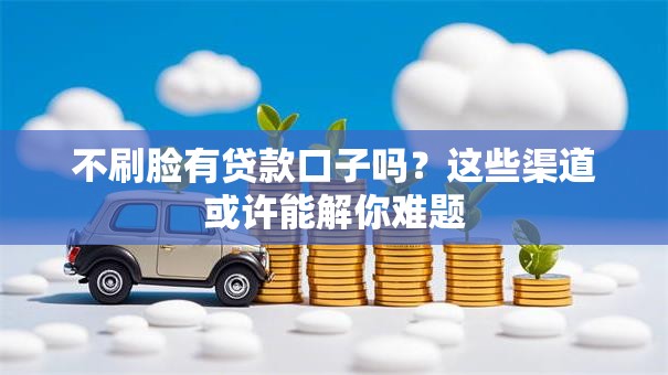不刷脸有贷款口子吗？这些渠道或许能解你难题