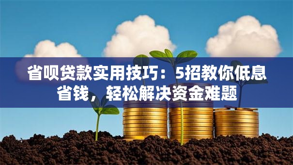 省呗贷款实用技巧:5招教你低息省钱,轻松解决资金难题 省呗贷款实用技巧:5招教你低息省钱,轻松解决资金难题