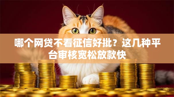哪个网贷不看征信好批?这几种平台审核宽松放款快 哪个网贷不看征信好批?这几种平台审核宽松放款快