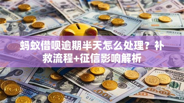 蚂蚁借呗逾期半天怎么处理?补救流程+征信影响解析 蚂蚁借呗逾期半天怎么处理?补救流程+征信影响解析