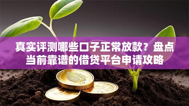 真实评测哪些口子正常放款?盘点当前靠谱的借贷平台申请攻略 真实评测哪些口子正常放款?盘点当前靠谱的借贷平台申请攻略