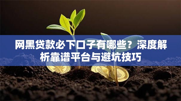 网黑贷款必下口子有哪些?深度解析靠谱平台与避坑技巧 网黑贷款必下口子有哪些?深度解析靠谱平台与避坑技巧