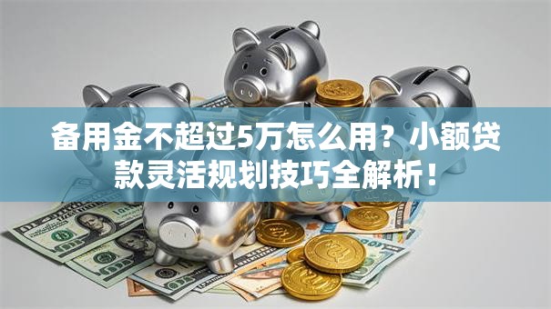 备用金不超过5万怎么用?小额贷款灵活规划技巧全解析! 备用金不超过5万怎么用?小额贷款灵活规划技巧全解析!