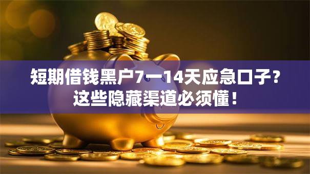 短期借钱黑户7一14天应急口子?这些隐藏渠道必须懂! 短期借钱黑户7一14天应急口子?这些隐藏渠道必须懂!