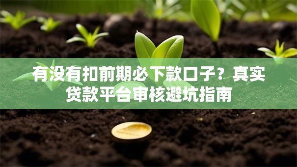 有没有扣前期必下款口子?真实贷款平台审核避坑指南 有没有扣前期必下款口子?真实贷款平台审核避坑指南